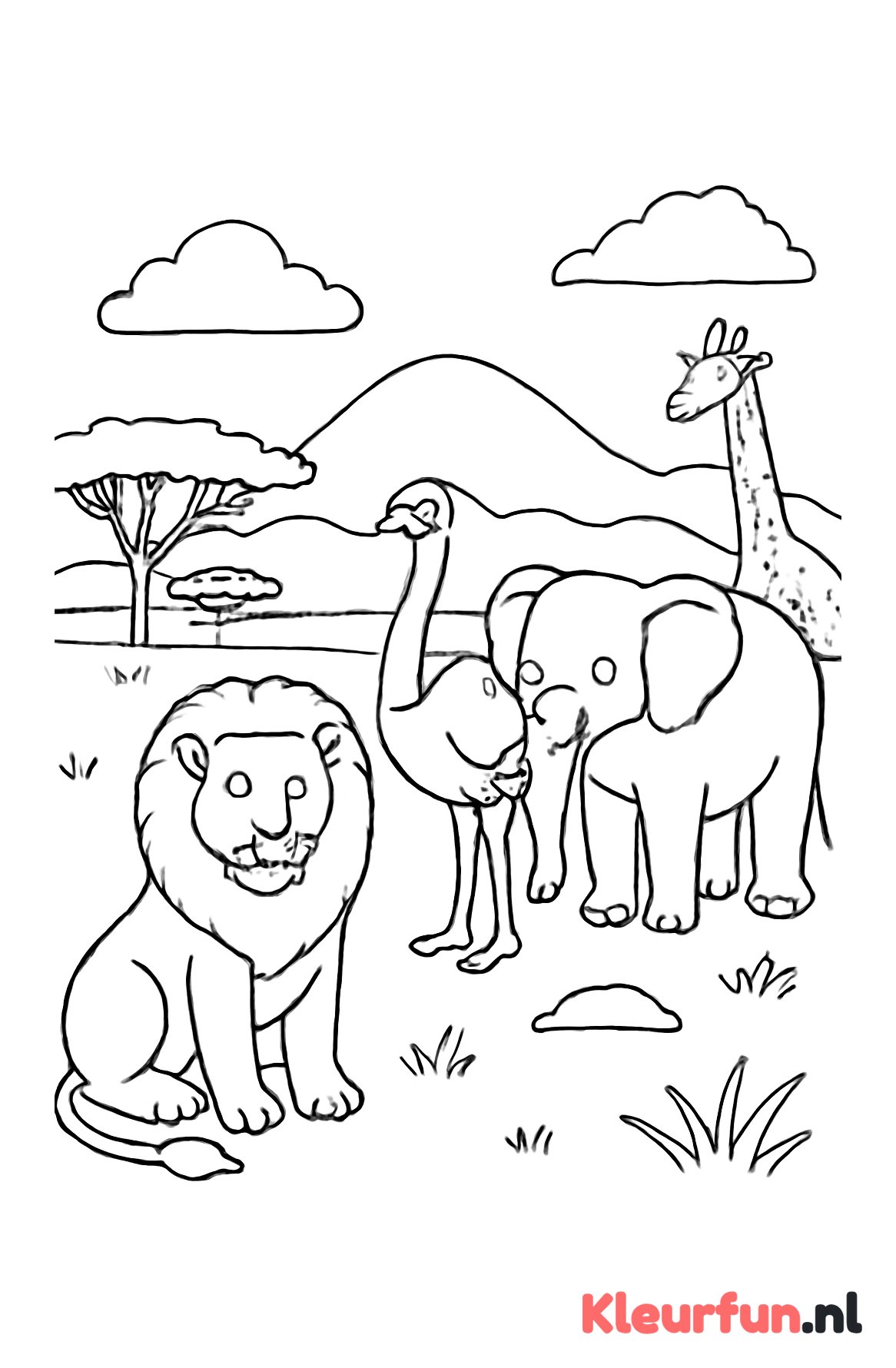 Safari met leeuw, struisvogel en olifant