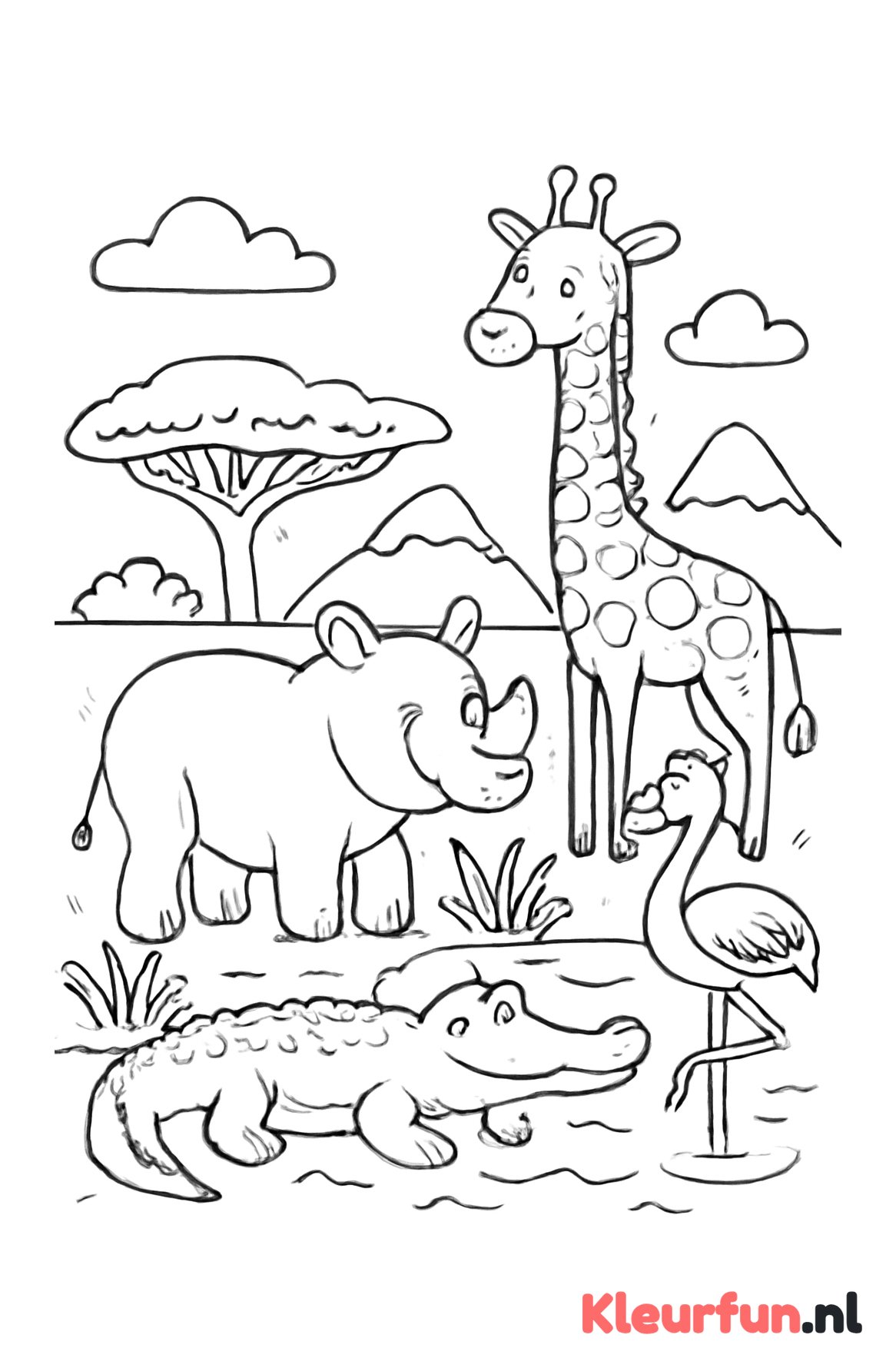 Safari met neushoorn, krokodil en flamingo
