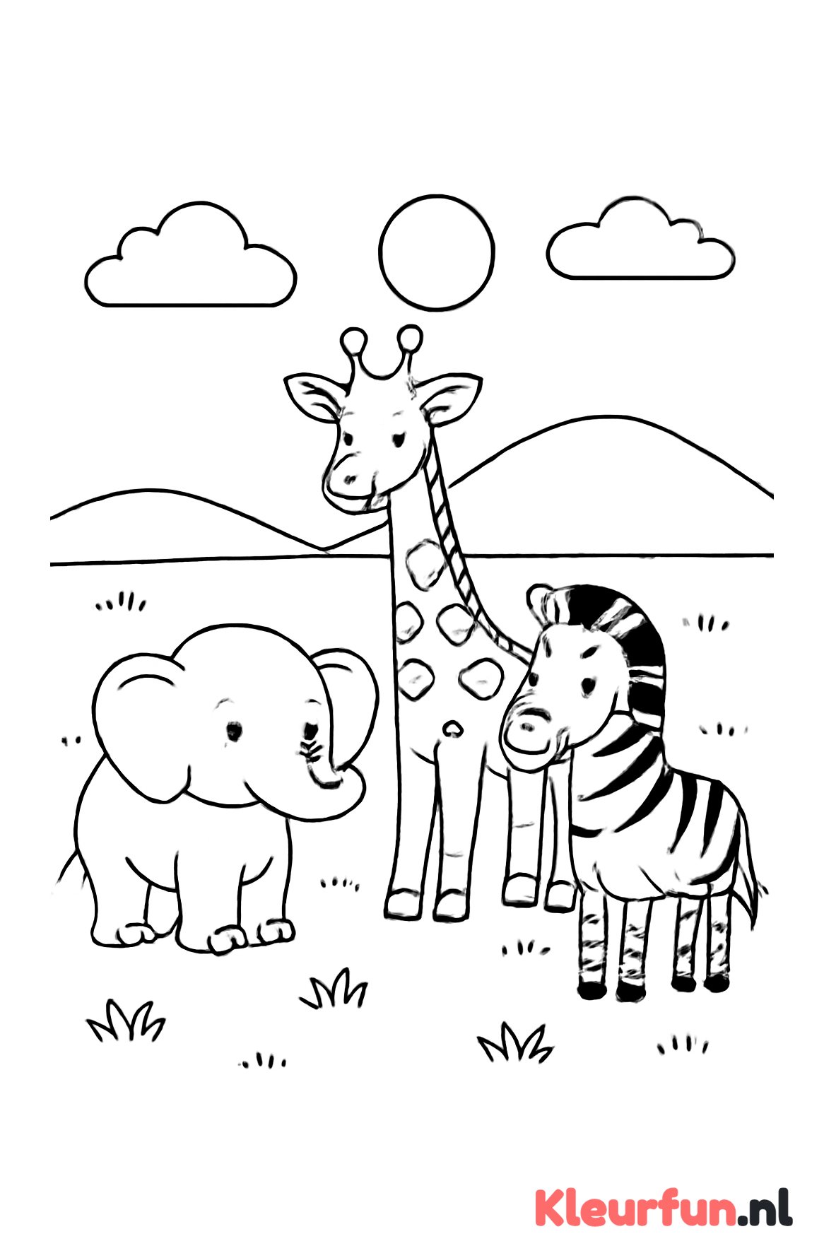 Safari dieren bij elkaar