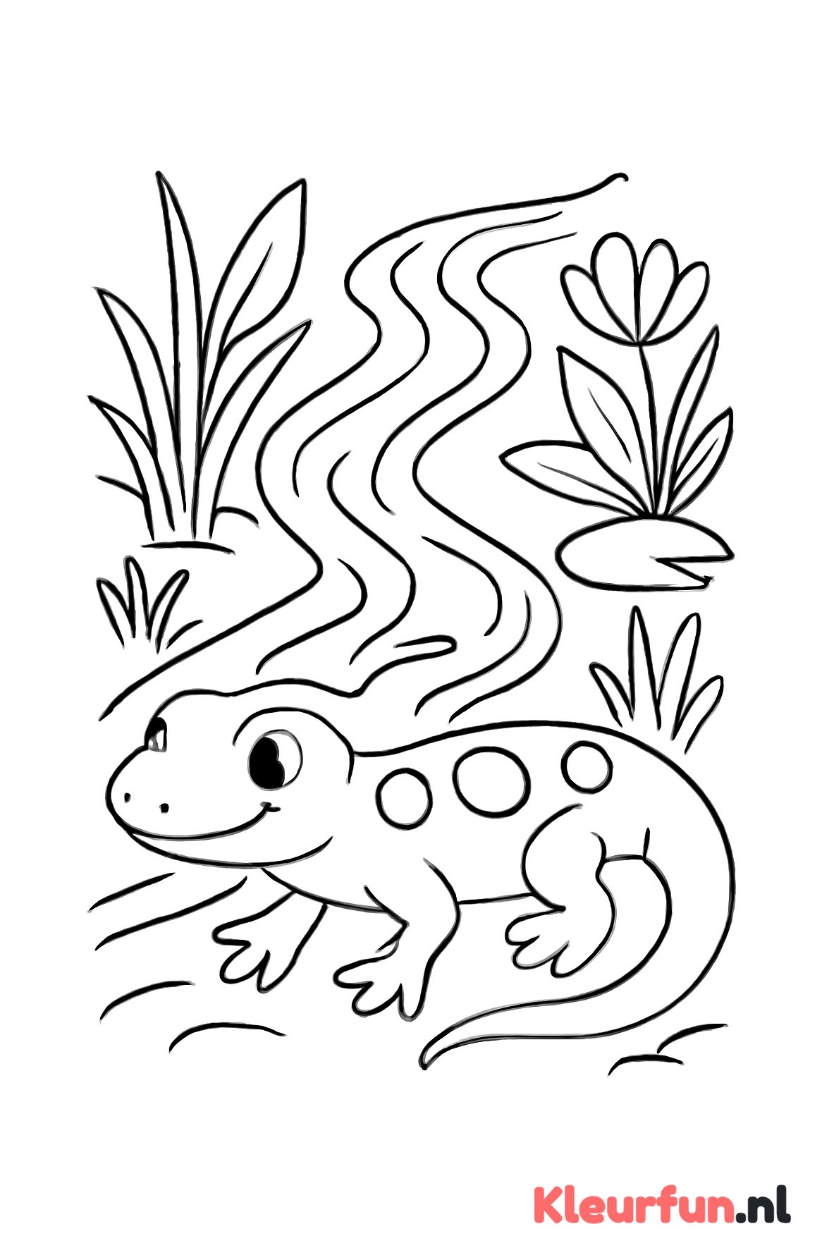 Salamander bij Beekje