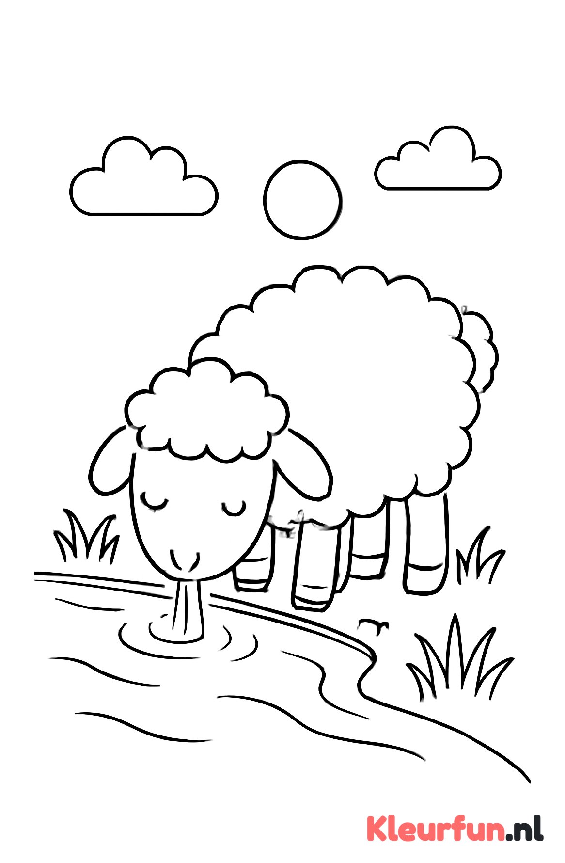 Schaap dat drinkt bij de sloot