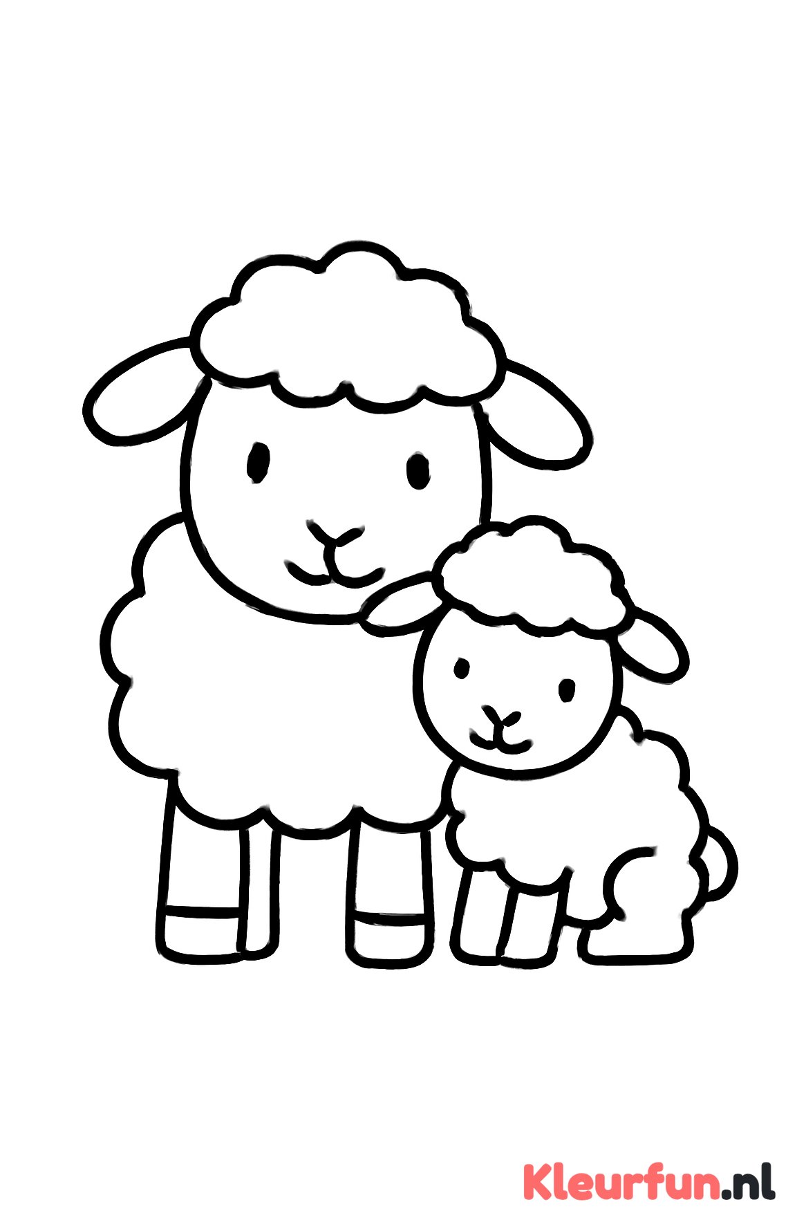 Schaap met lam