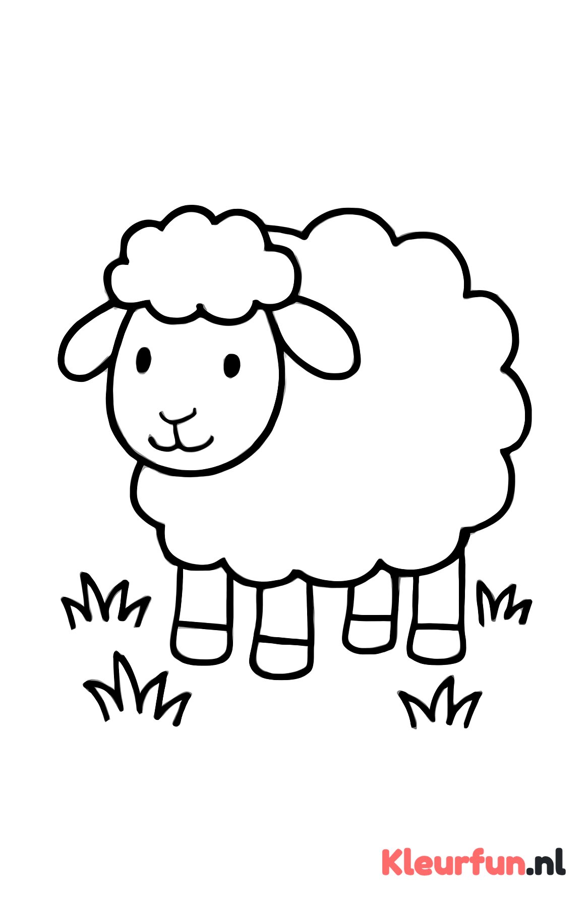 Schaap in wei