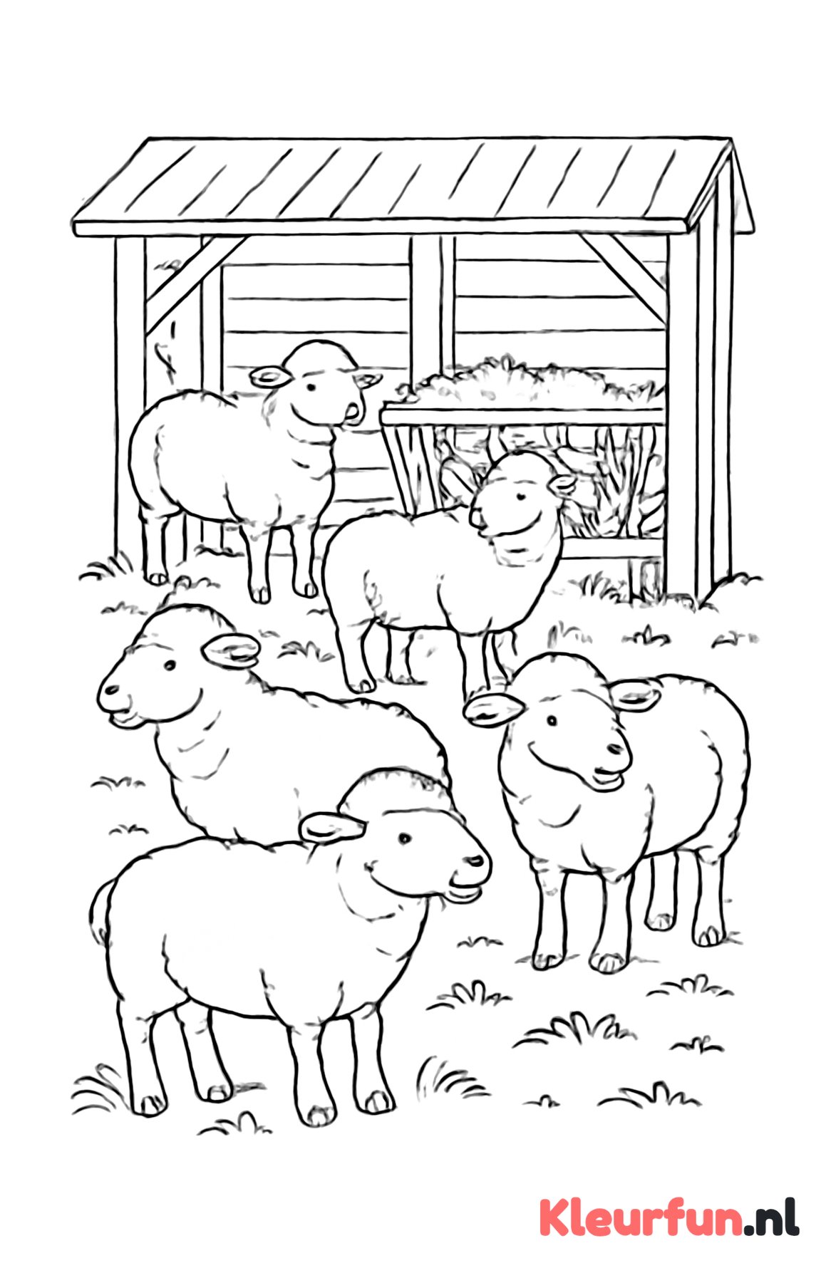 Schapenstal met Schapen