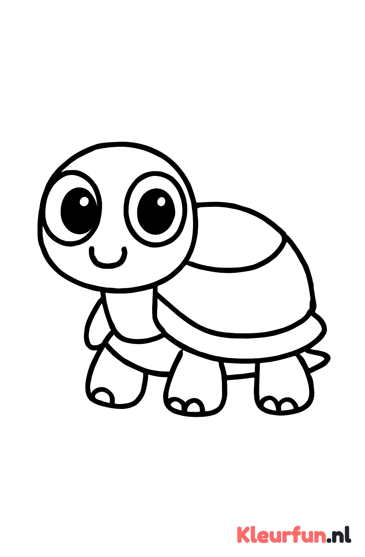 Schattige schildpad met grote vormen