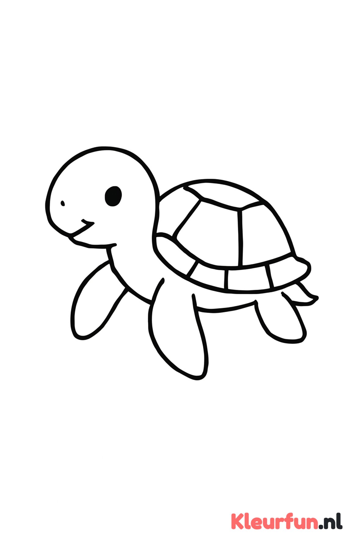 Schattige zeeschildpad met rugplaten