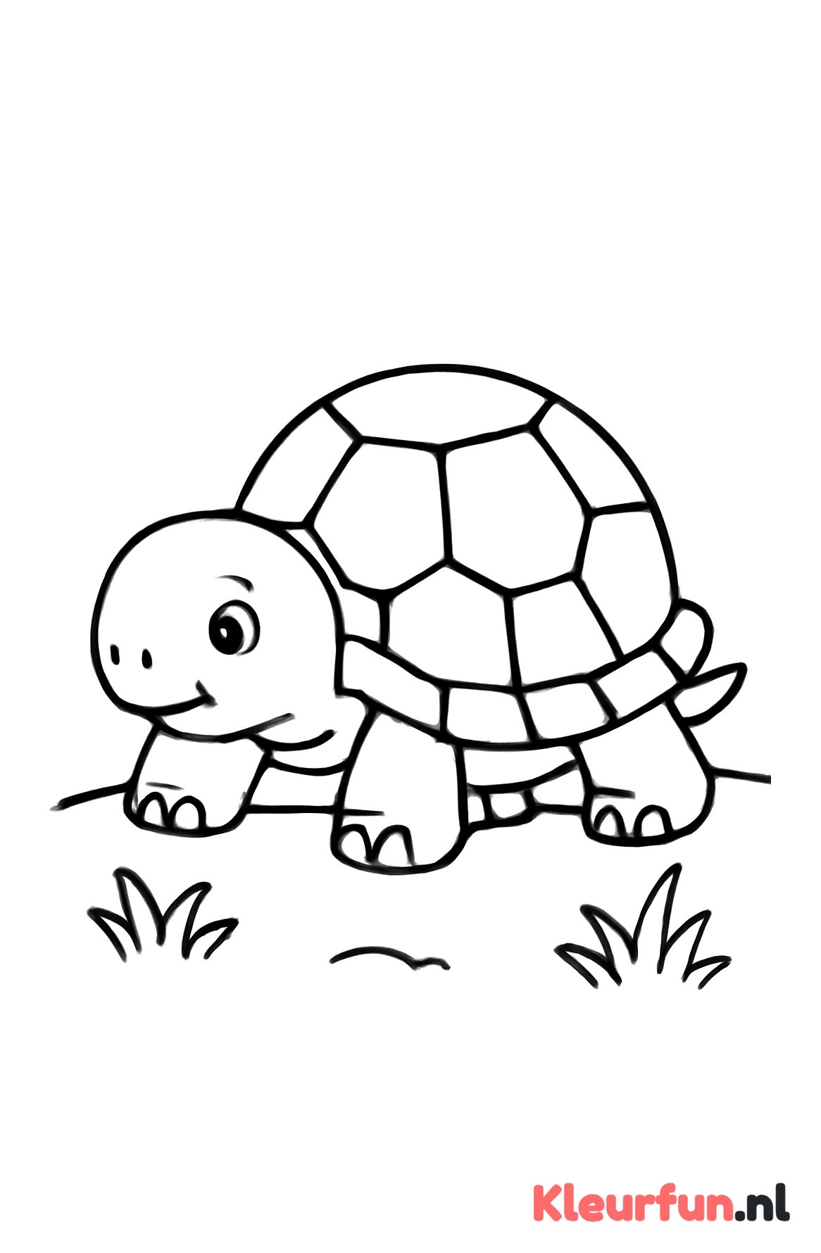 Eenvoudige schildpad voor kleuters