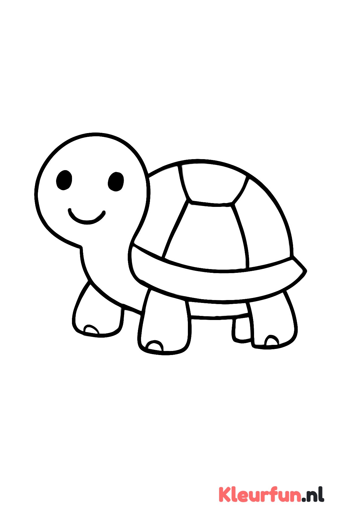 Schildpad met groot schild