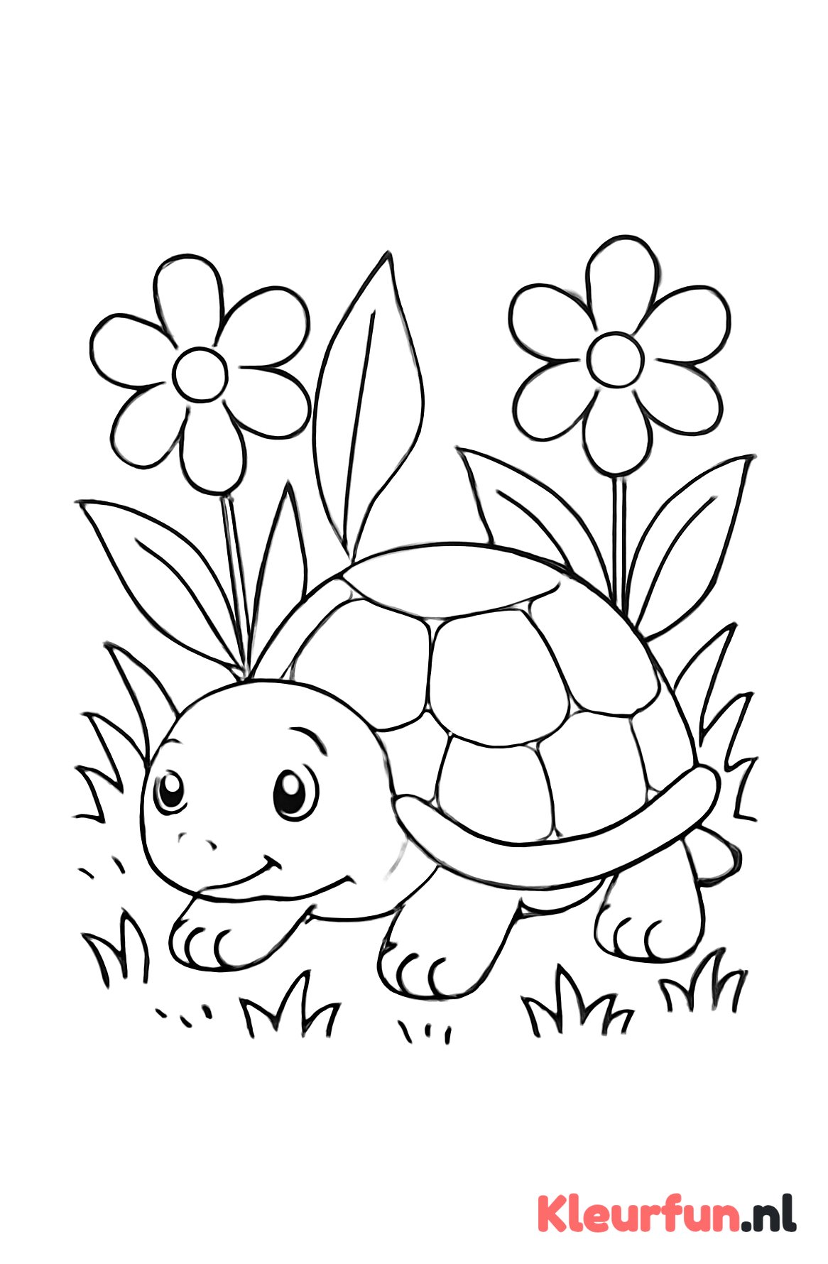 Schildpad in het gras