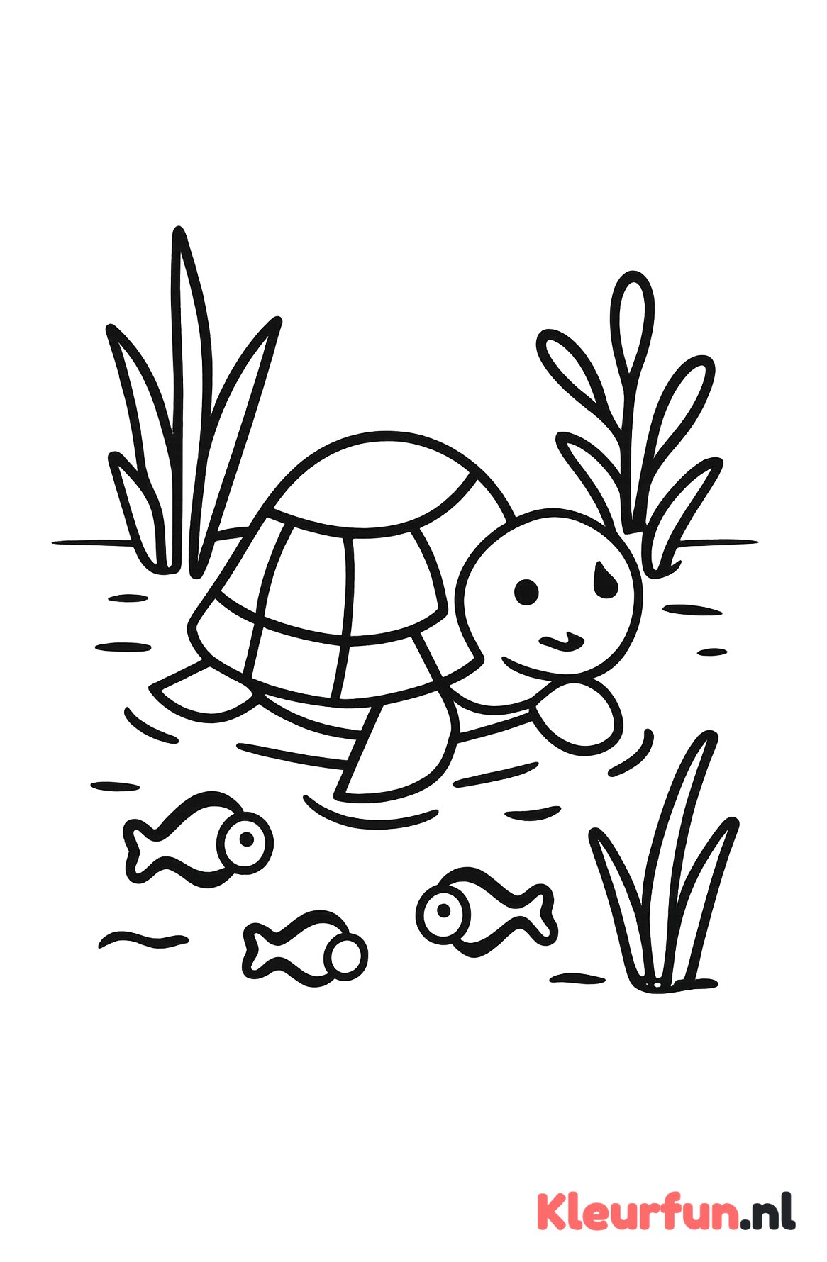 Schildpad in vijver