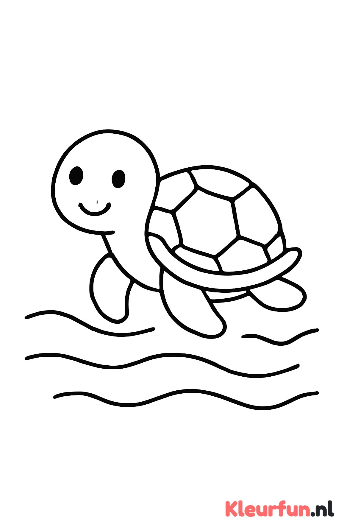 Schildpad in water