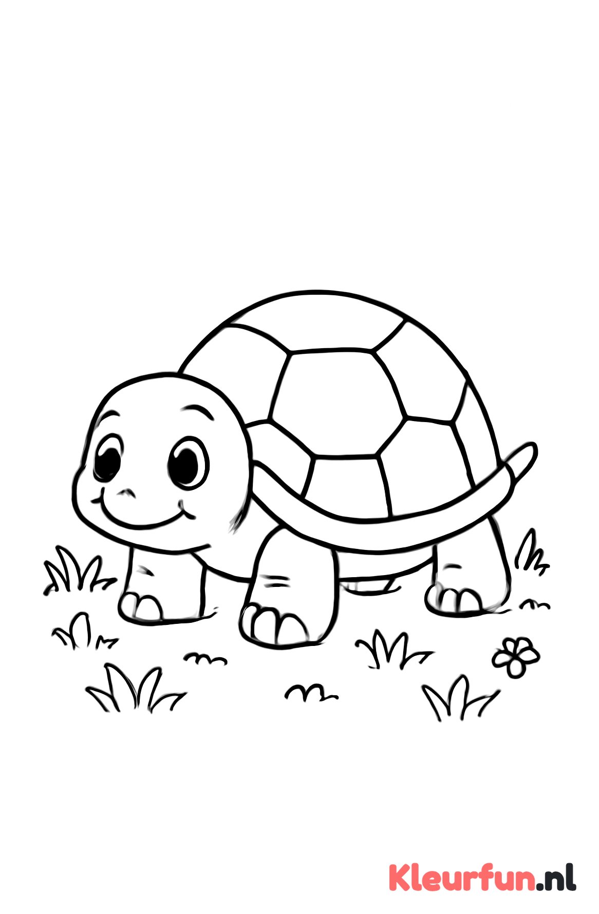 Schildpad kruipt langzaam over het veld
