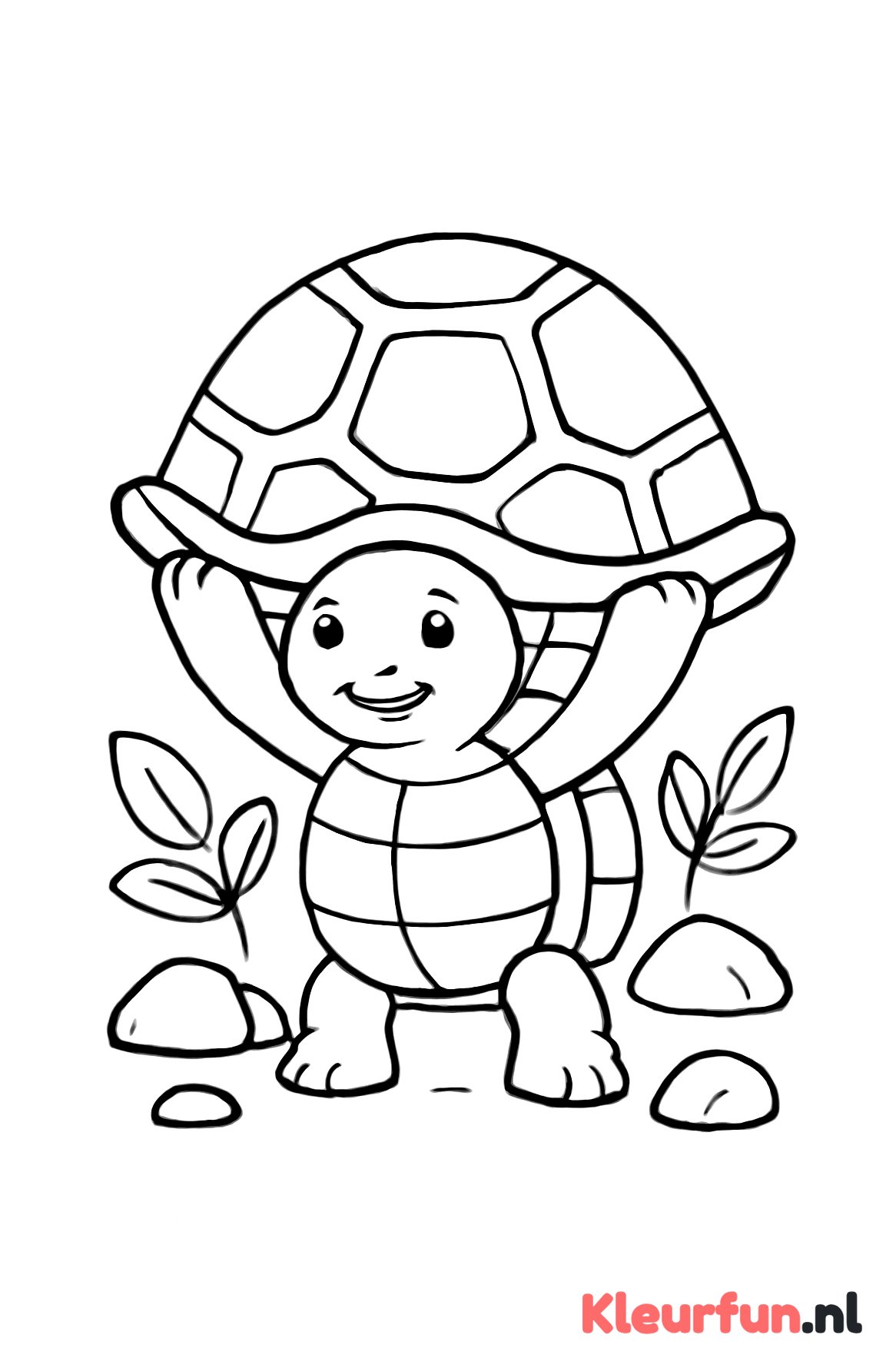 Schildpad met bladeren
