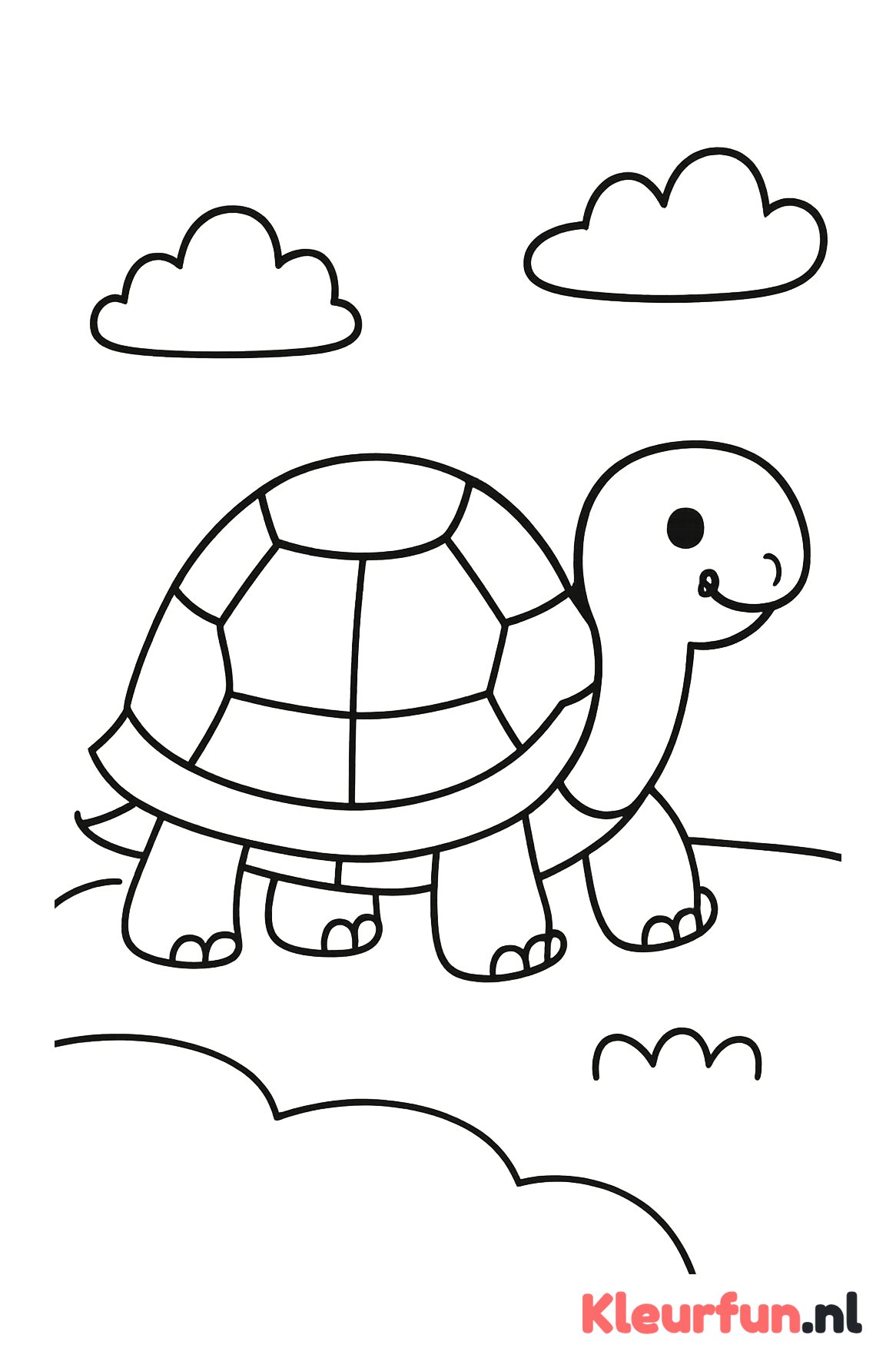 Schildpad met duidelijk schild