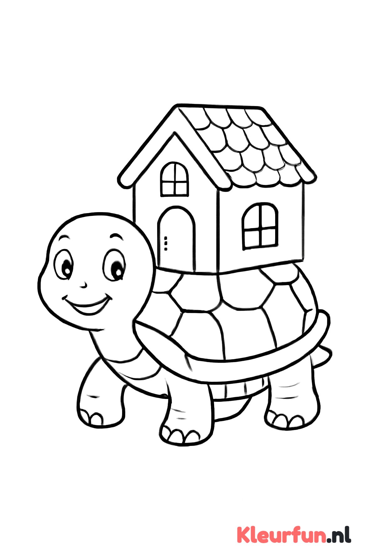 Schildpad met huis op rug