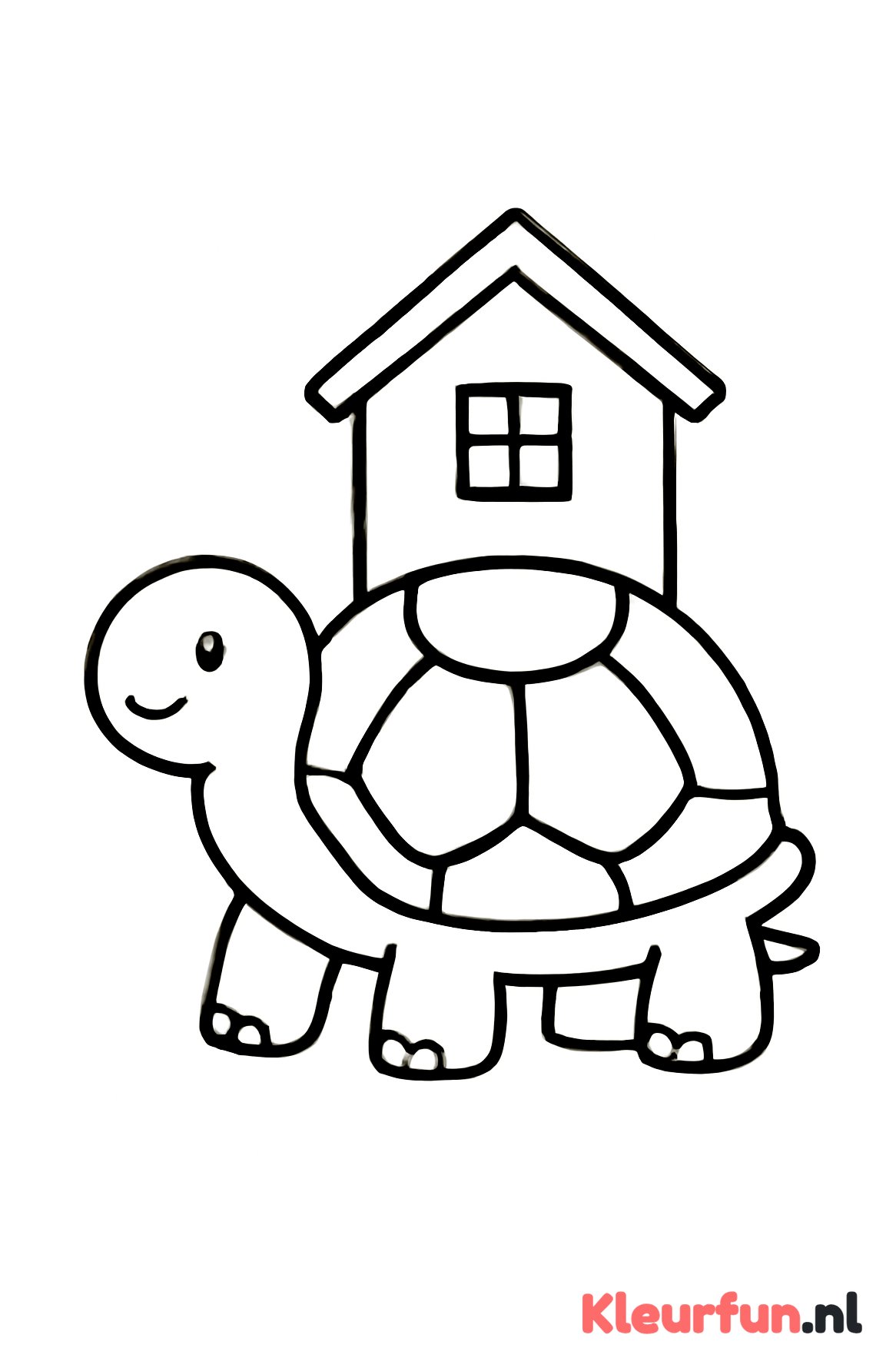 Schildpad met huis