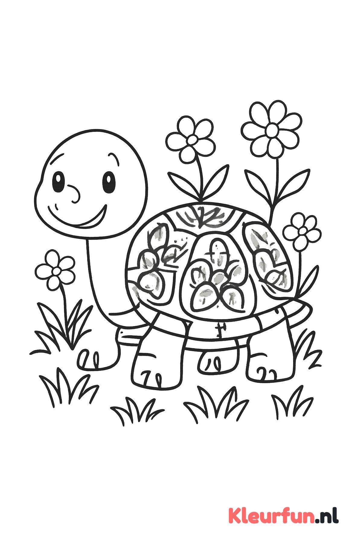 Schildpad met versierd schild