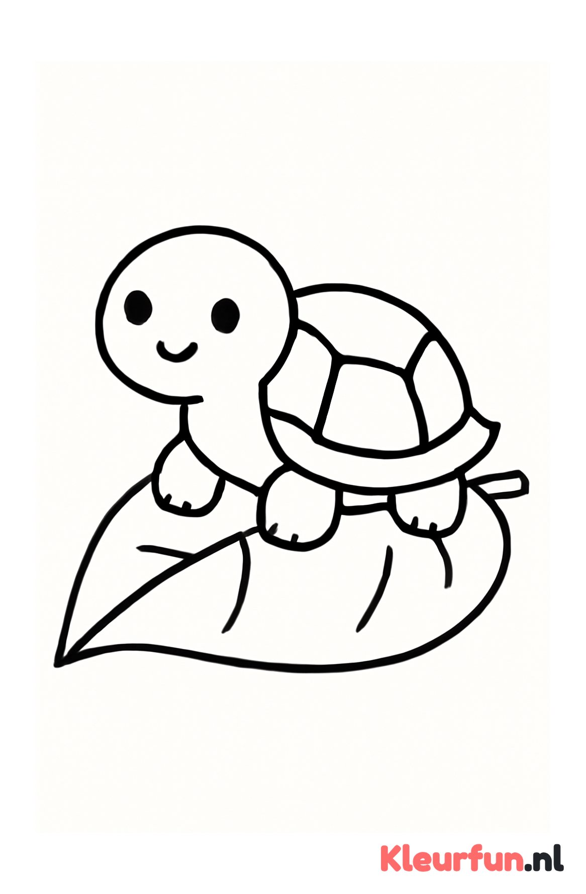 Schildpad op blad