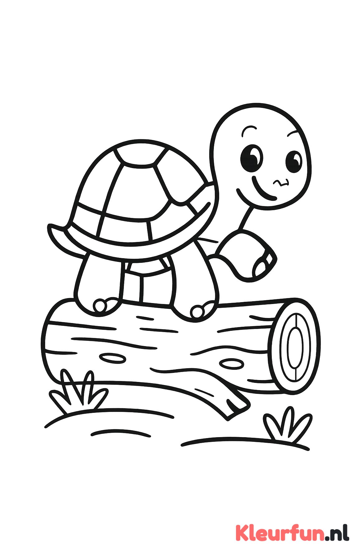 Schildpad op de boomstam