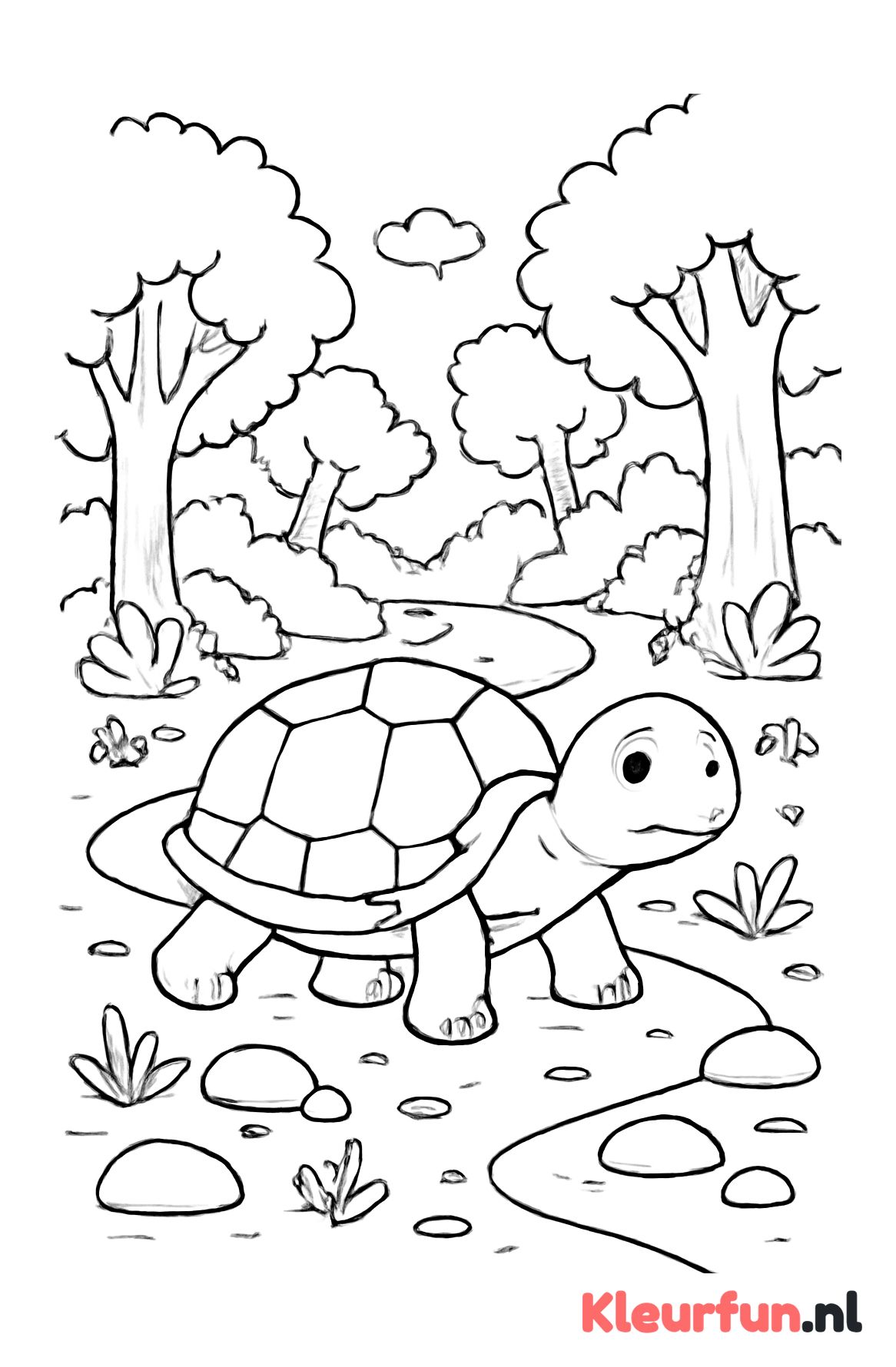 Schildpad op bospad