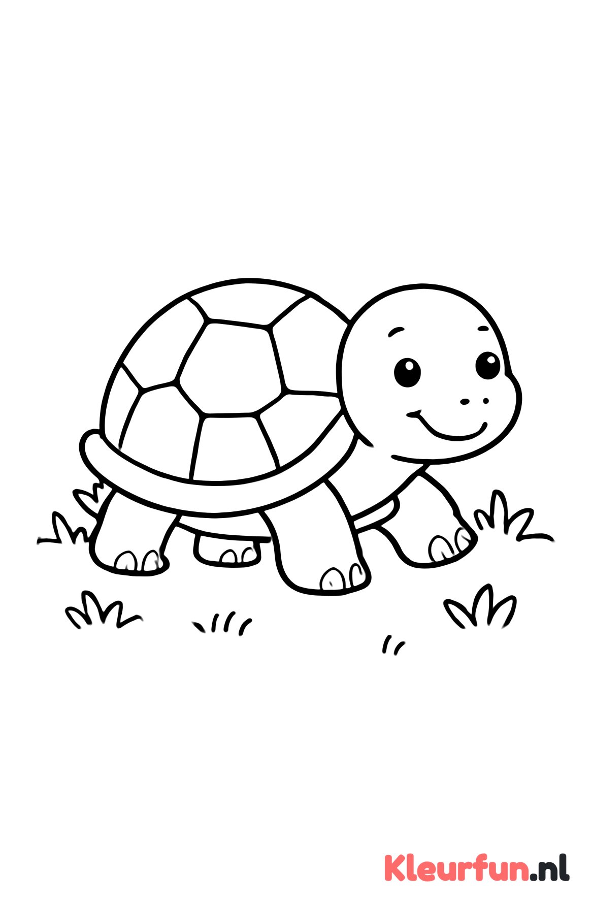 Schildpad op het gras
