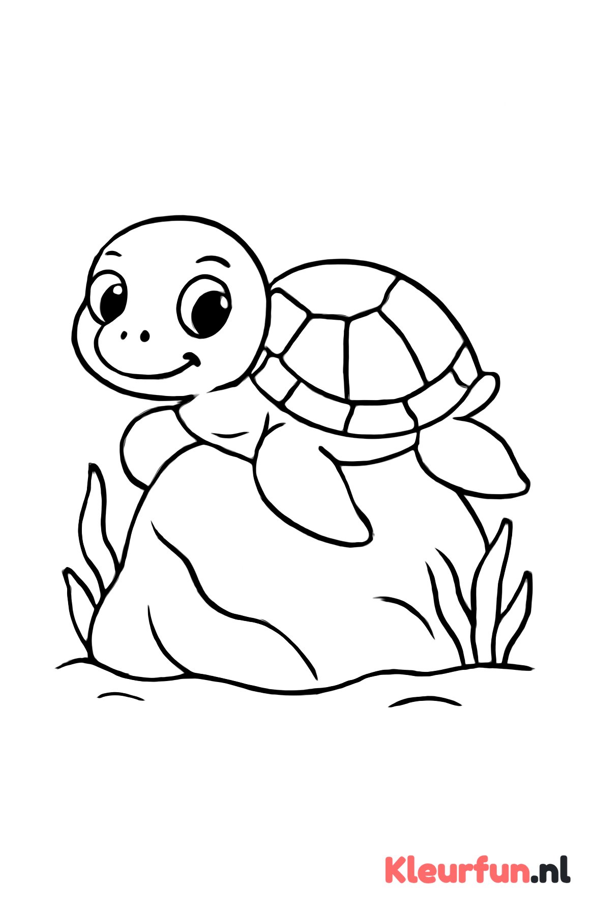 Schattige zeeschildpad rust op een rots