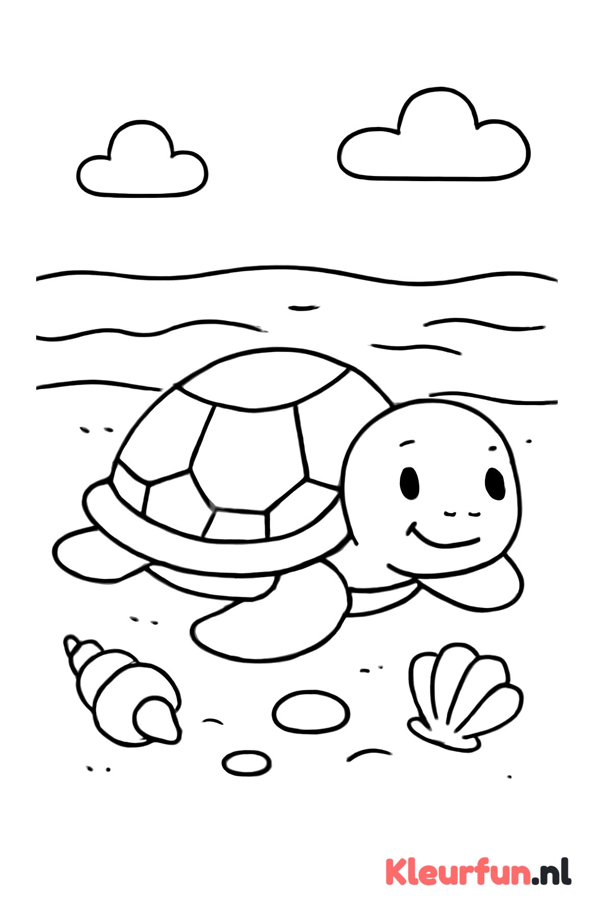 Schildpad op het strand