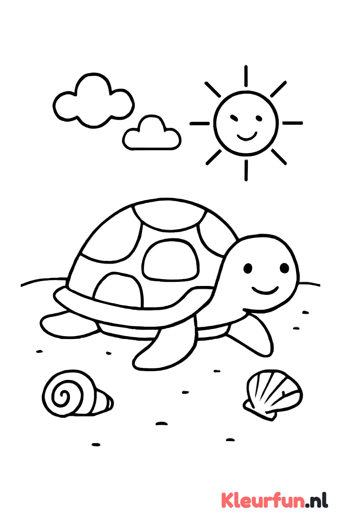Schildpad op zandstrand