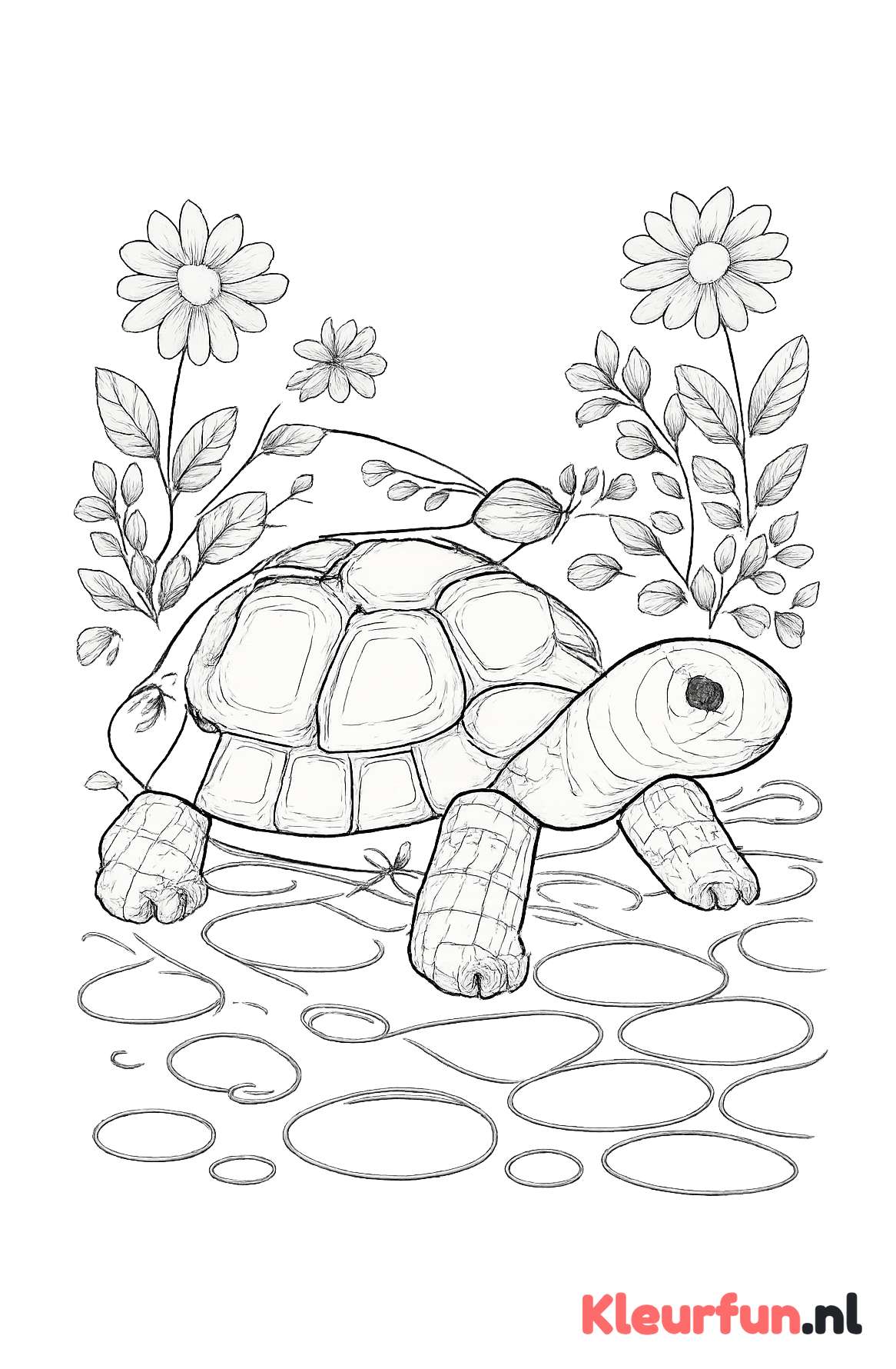 Schildpad op tuinpad