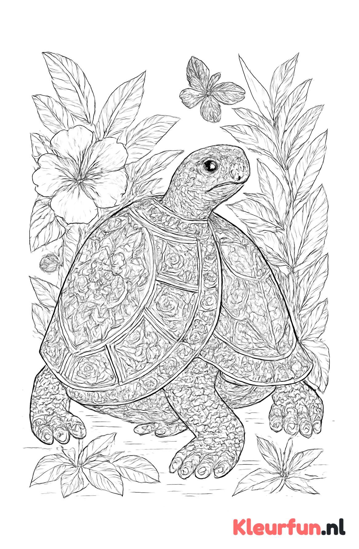 Schildpad met tropisch patroon