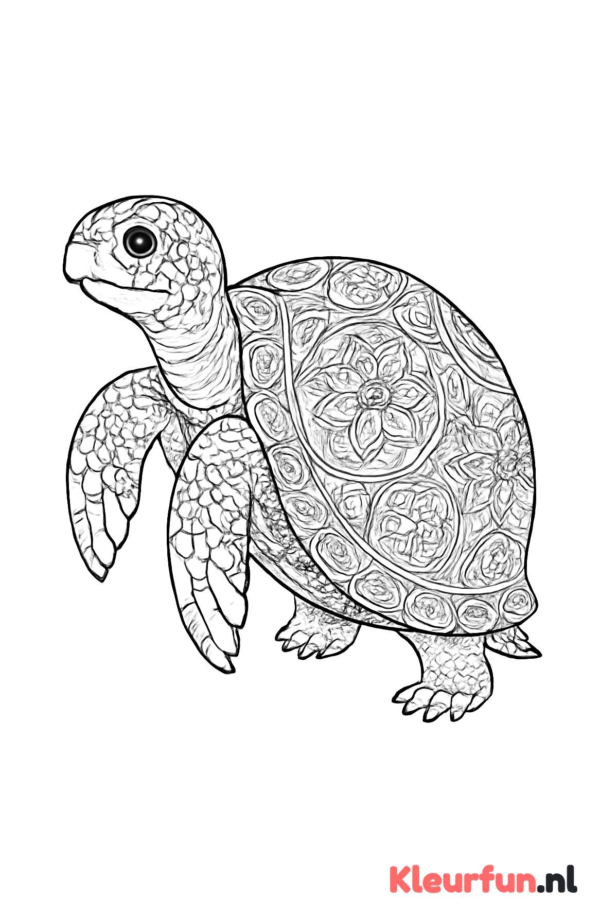 Schildpad met versierd schild