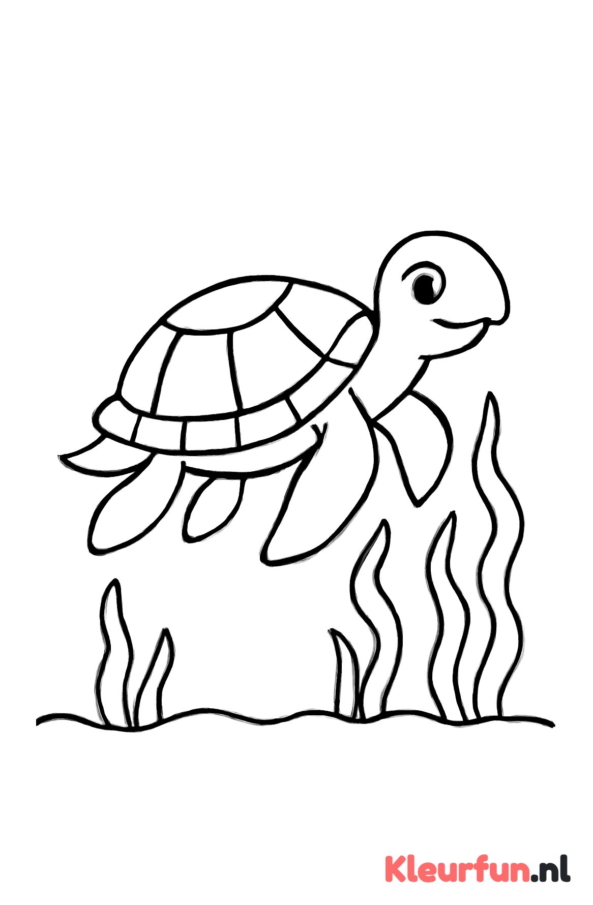 Schildpad die zwemt