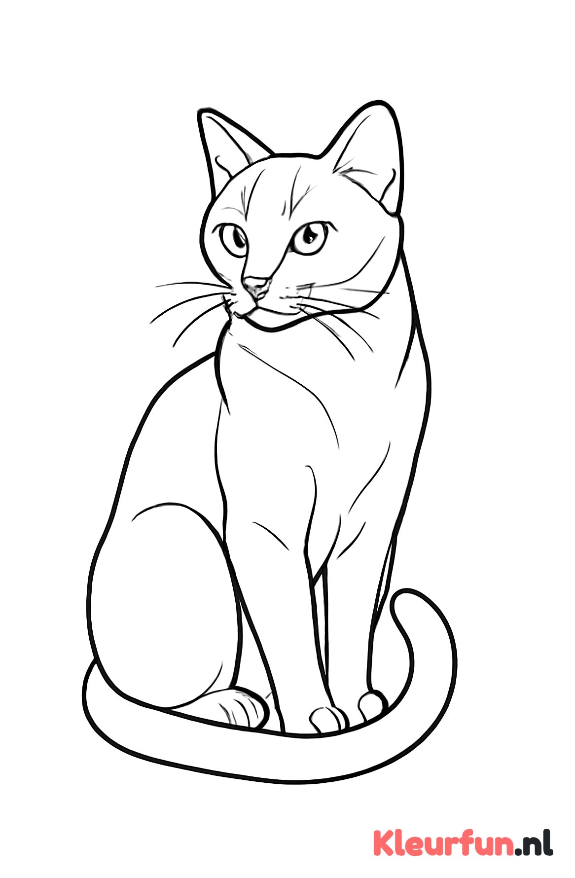 Sierlijke zittende kat