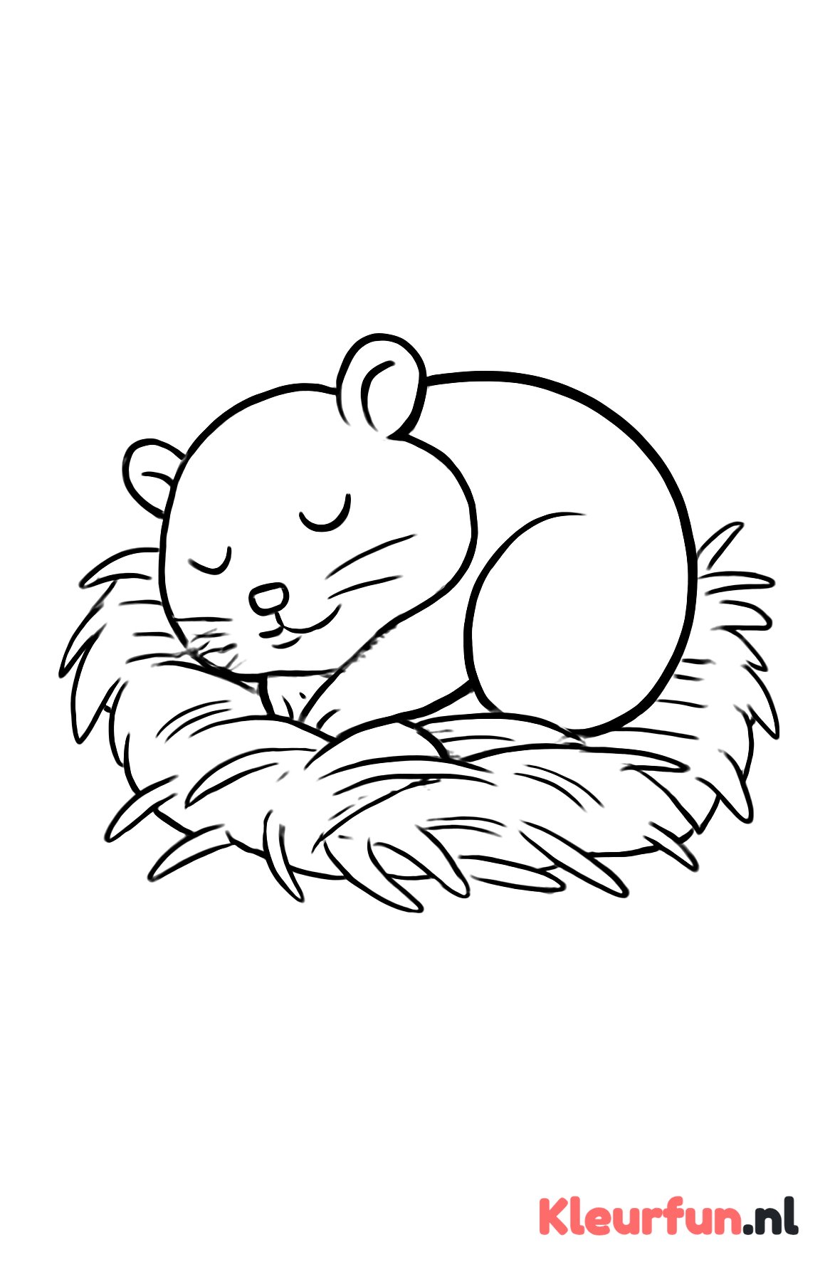 Slaapzame Hamster in Nest