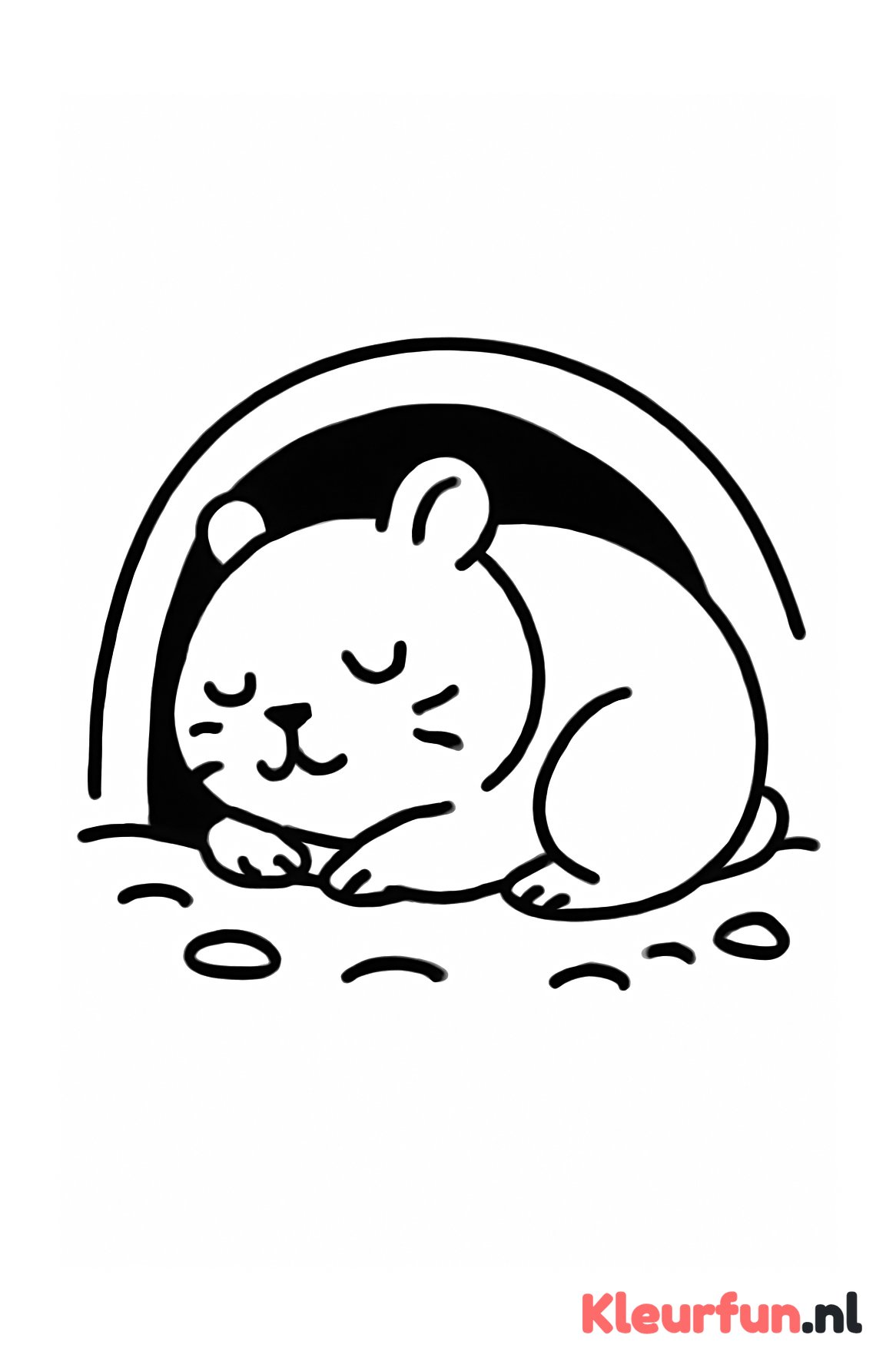 Slapende hamster