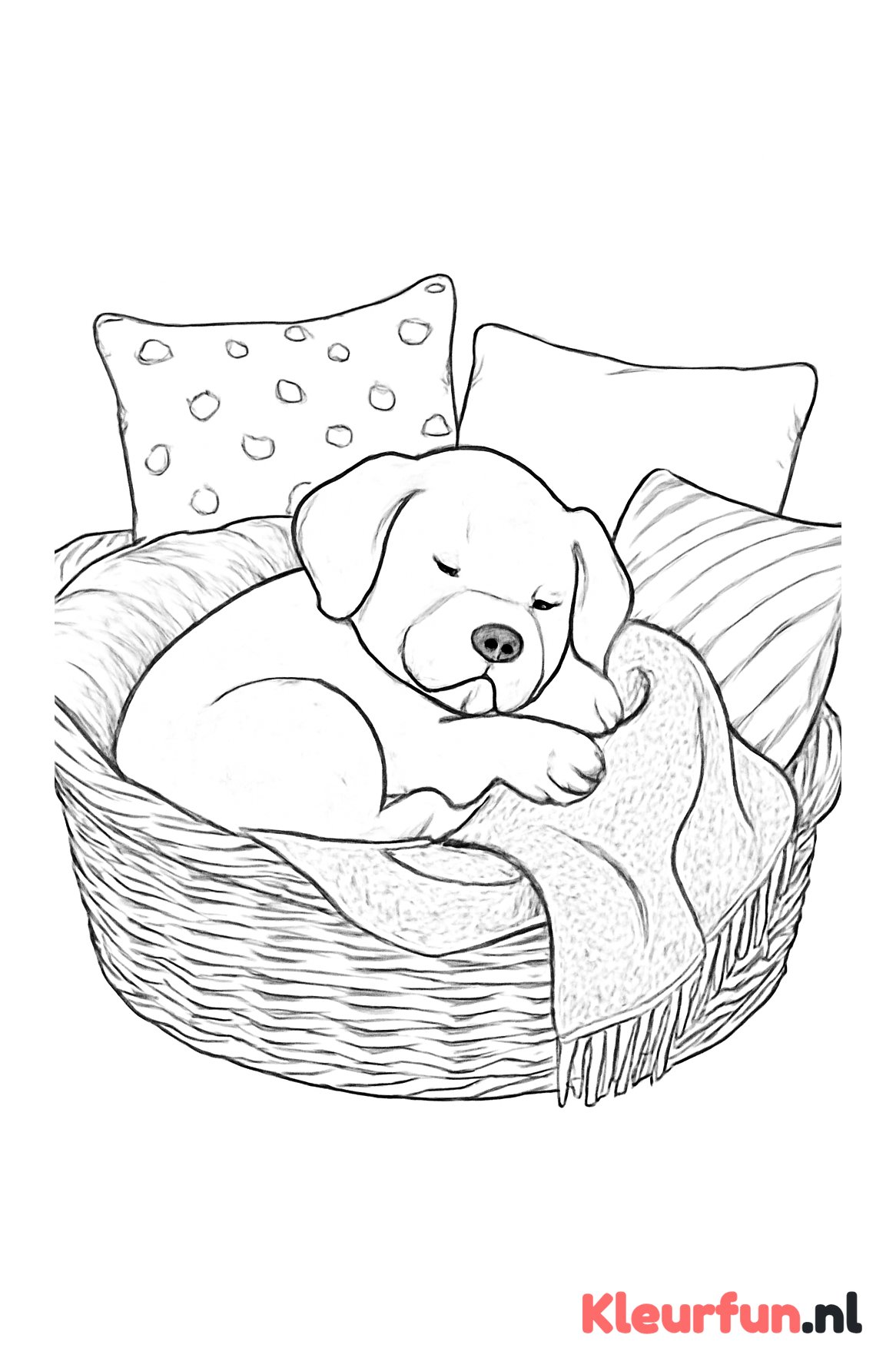 Slapende hond in mand