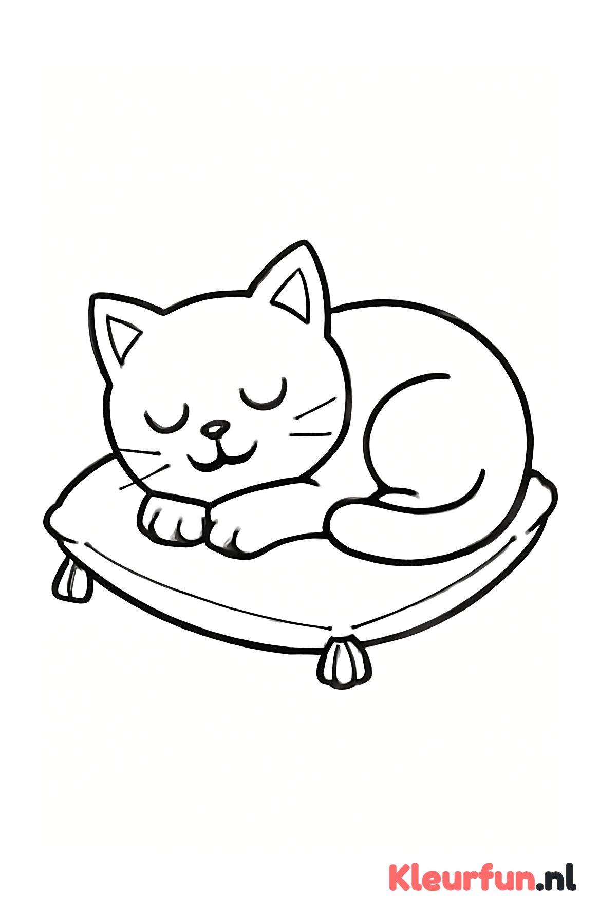 Slapende kat op kussen