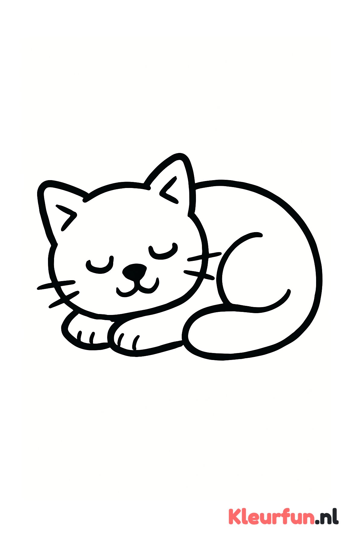 Slapende kat
