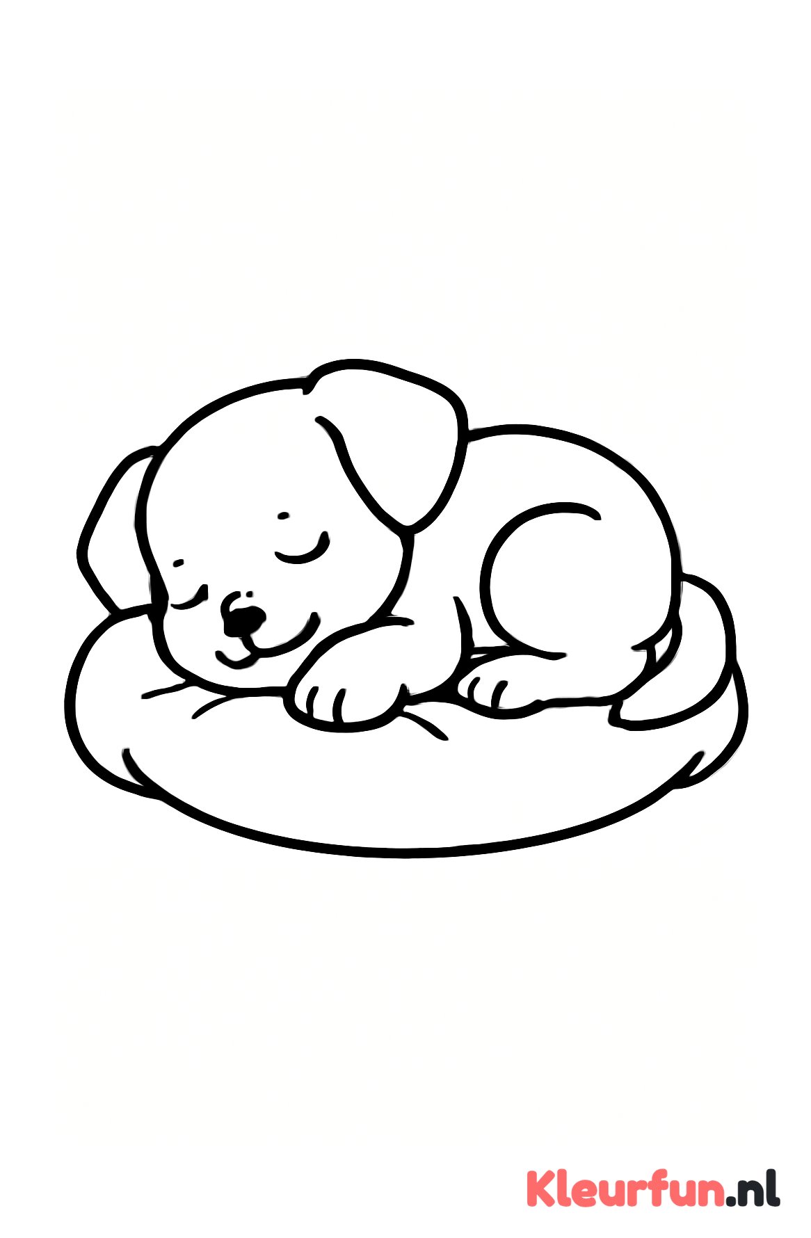 Slapende Puppy op Kussen