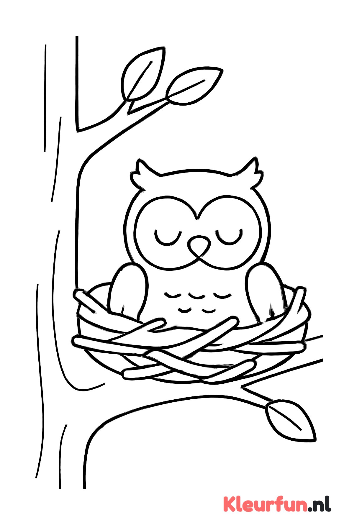 Slapende uil in nest