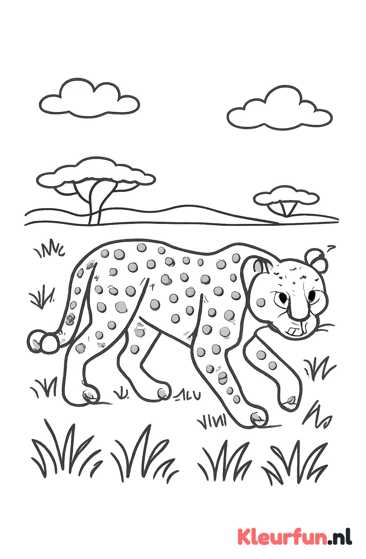 Sluipende cheetah in de savanne