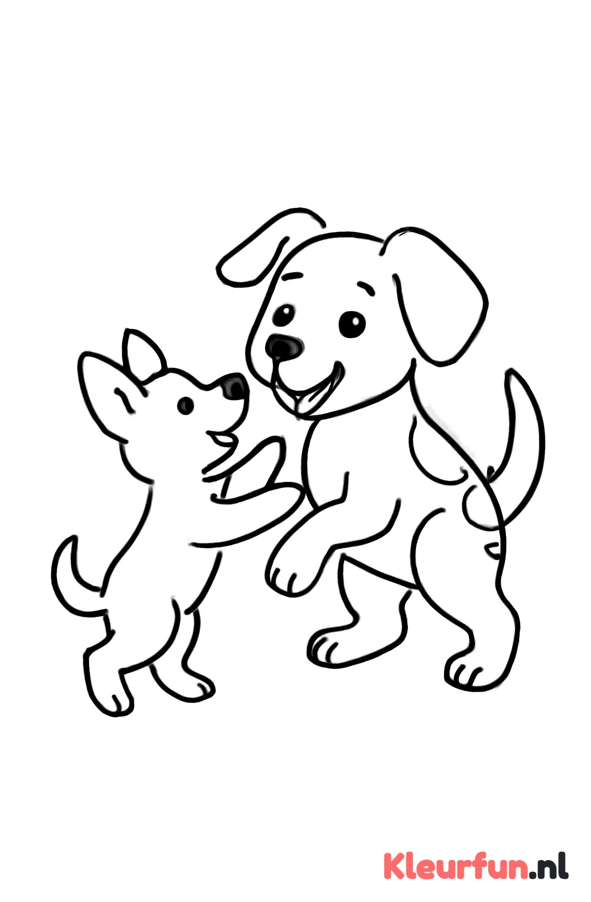Honden spelen samen