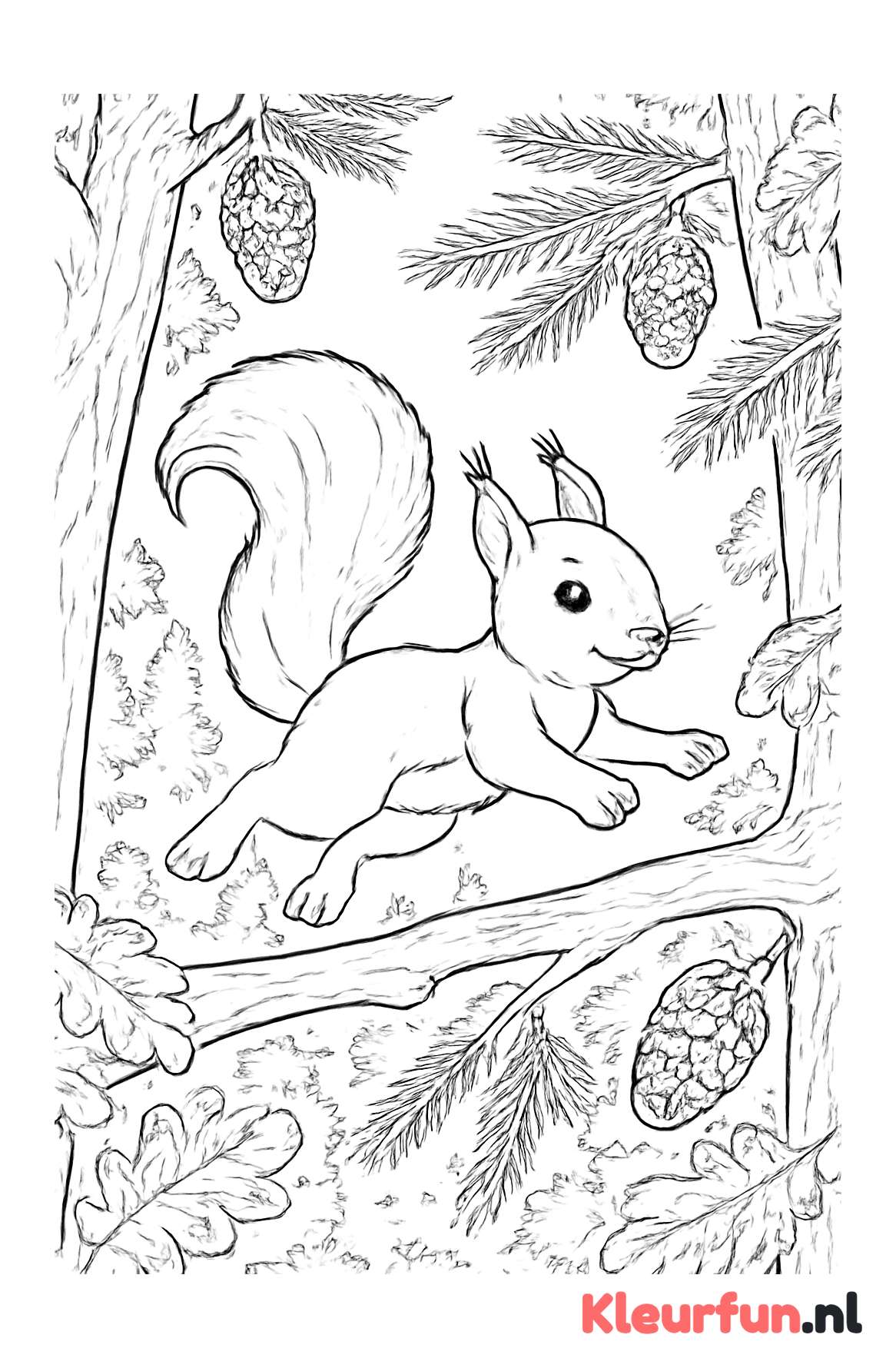Speelse eekhoorn in het bos