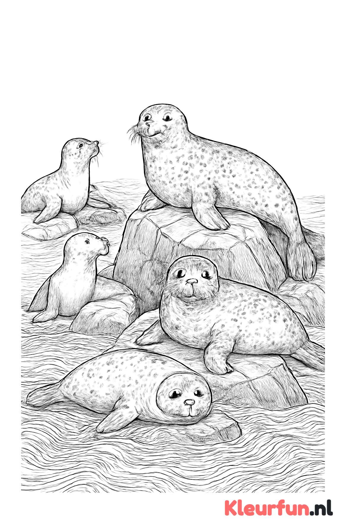 Speelse groep zeehonden op rotsen