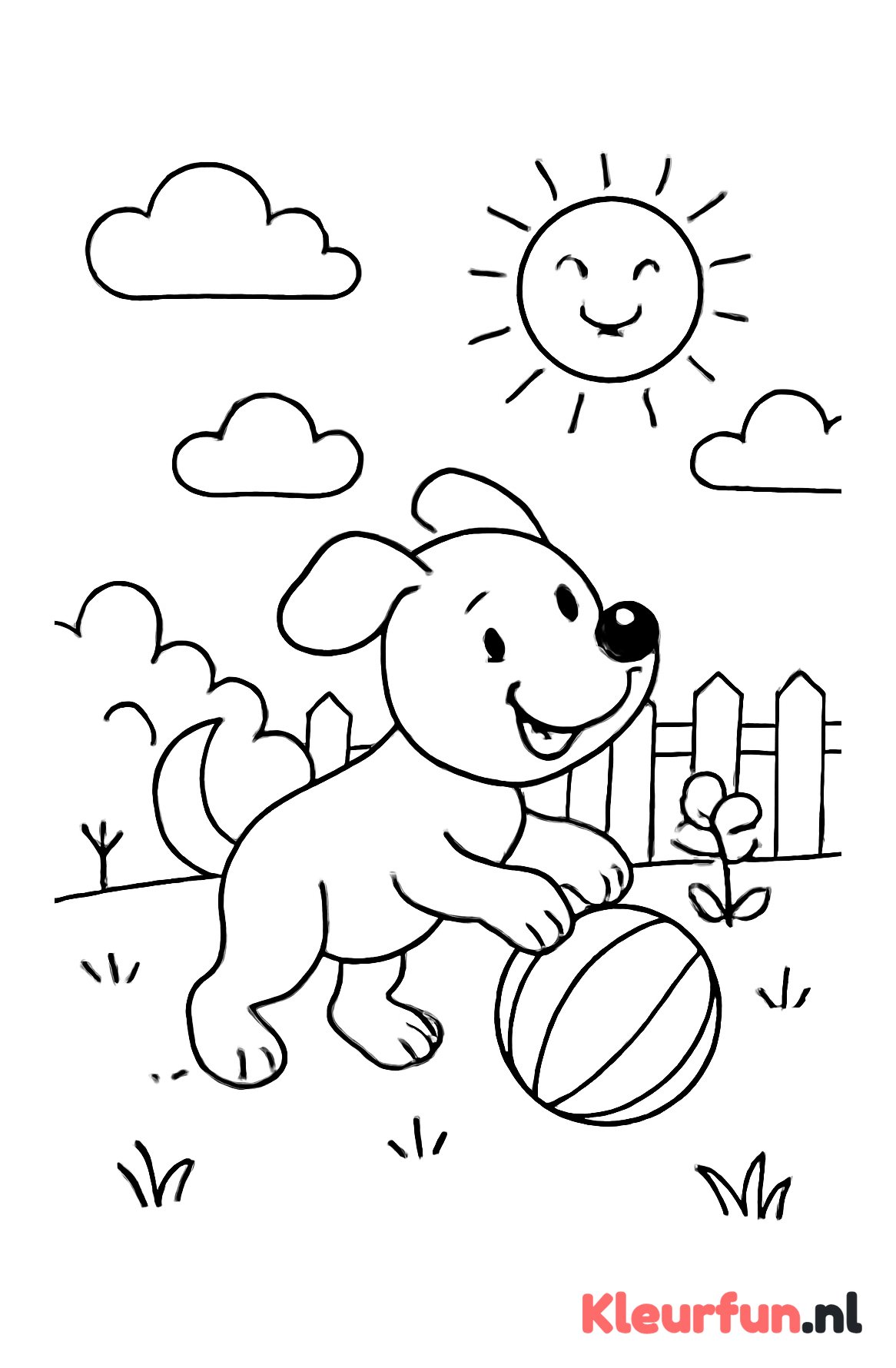 Speelse hond met bal