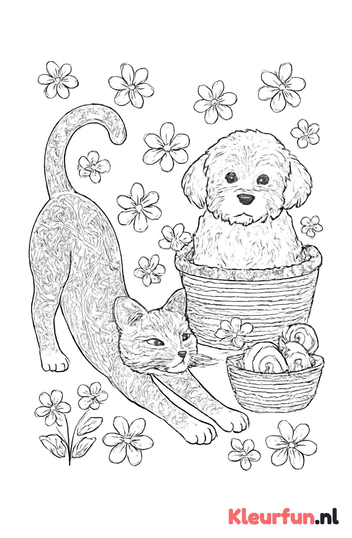 Speelse kat en pluizige hond