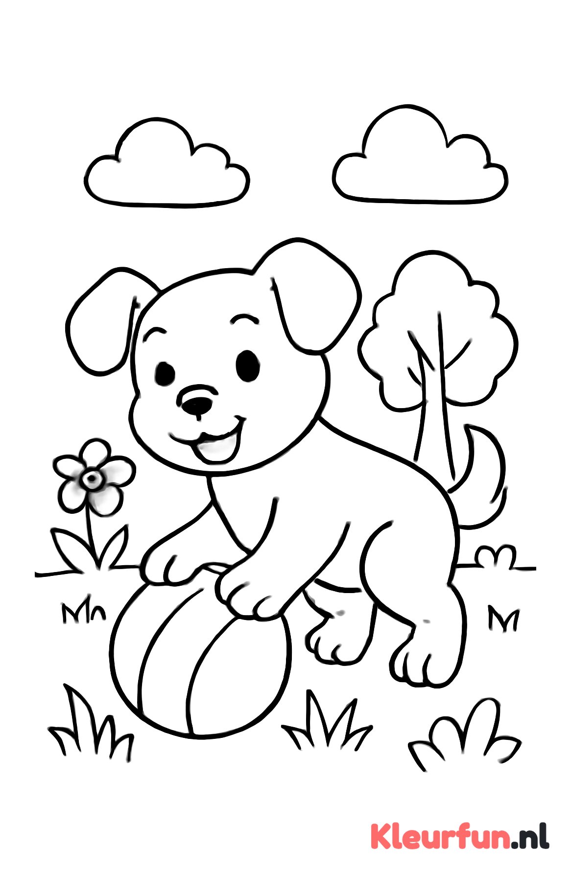 Speelse Puppy met Bal