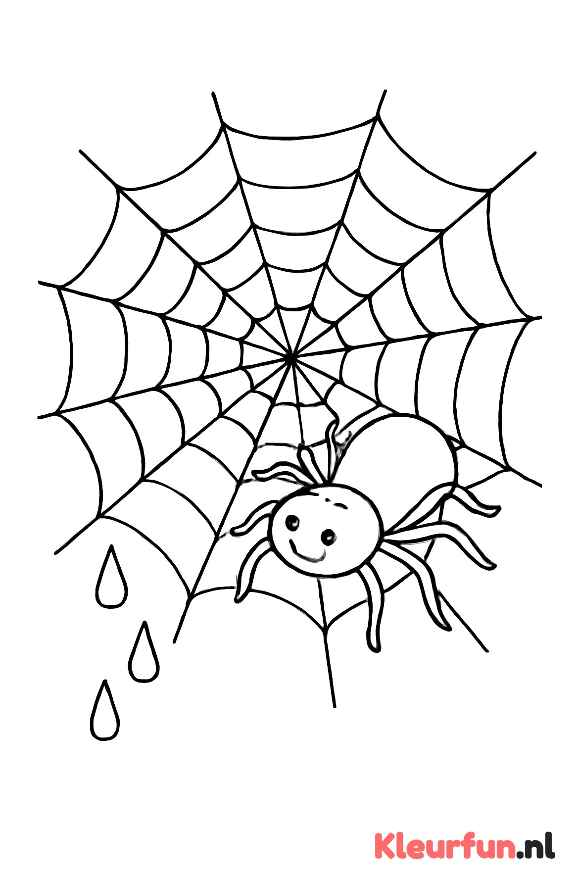 Spin op spinnenweb met dauw