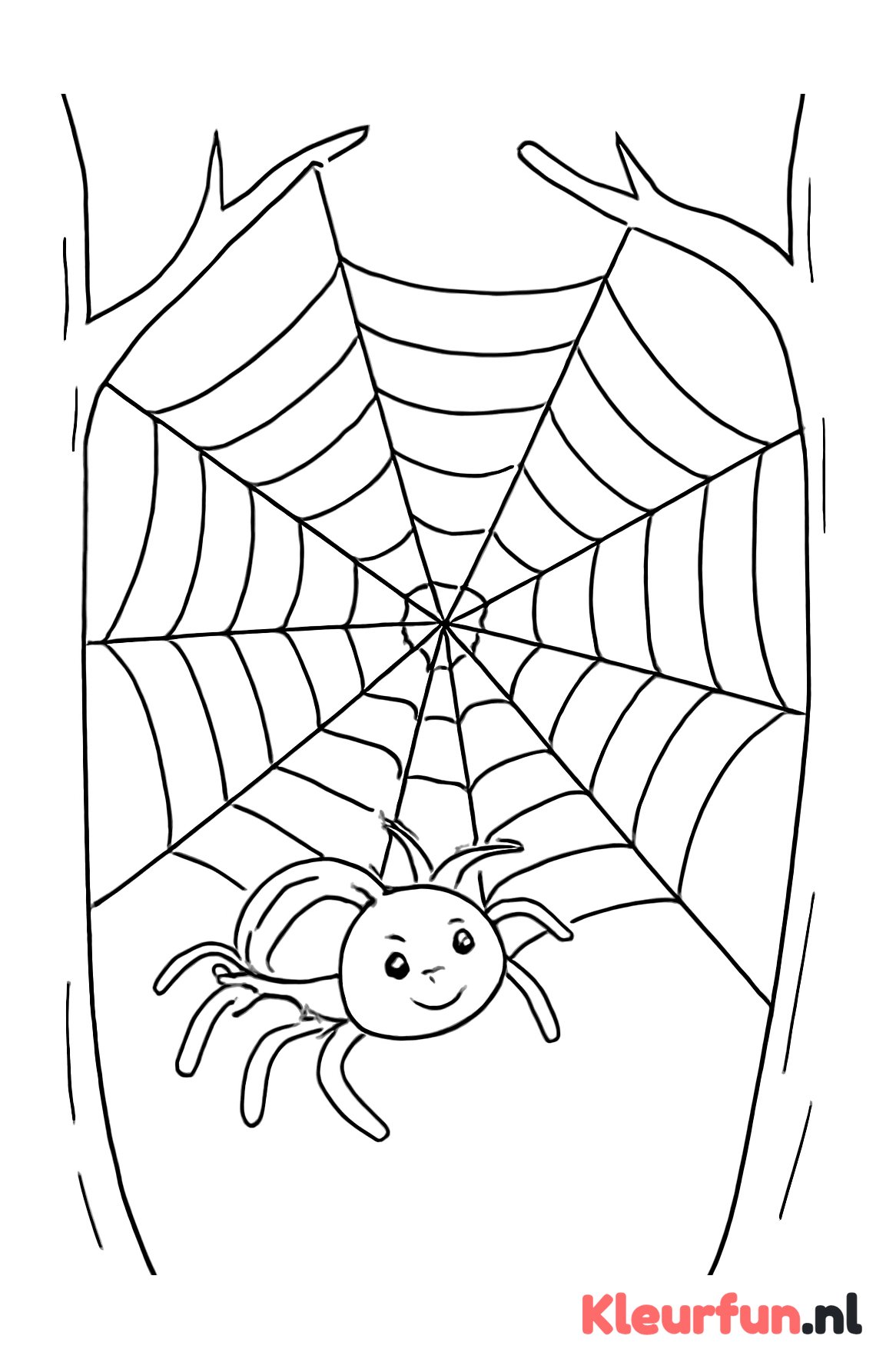 Spin weeft spinnenweb