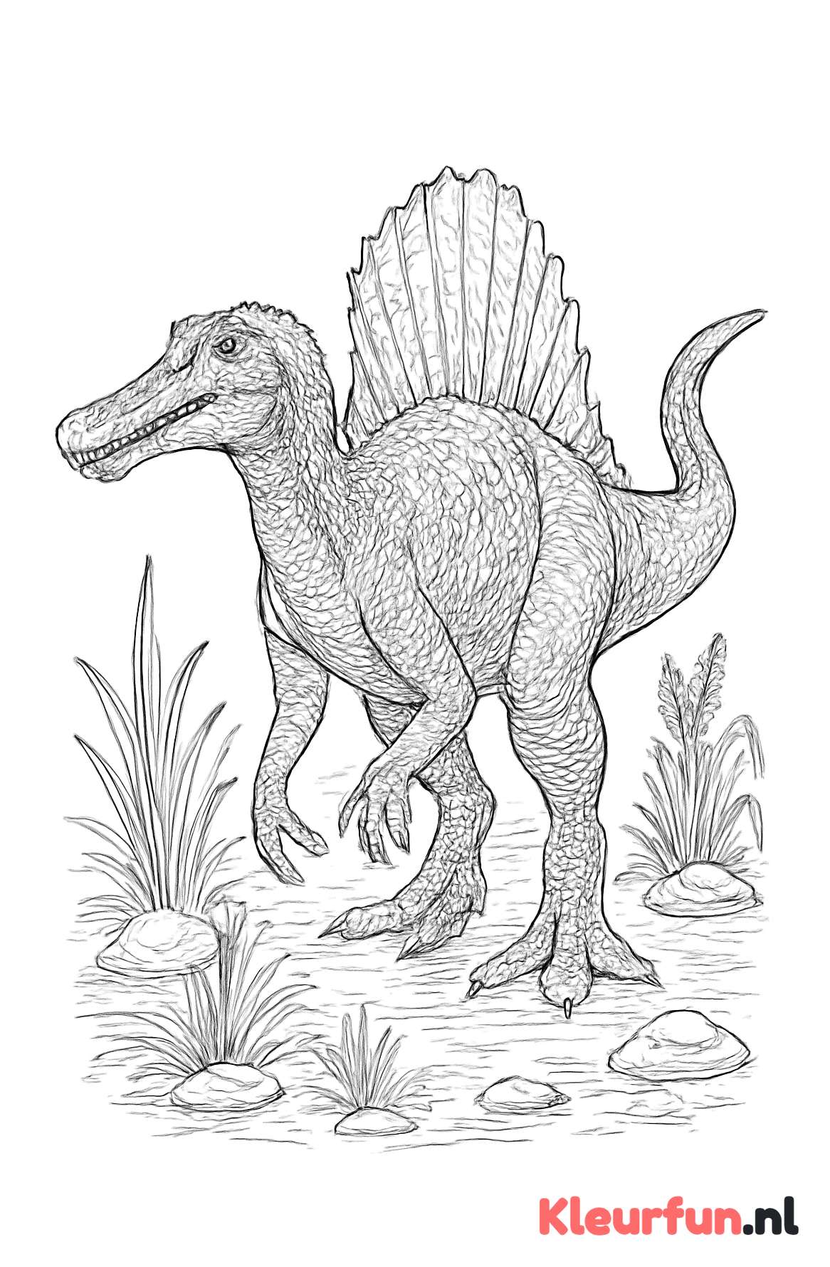 Spinosaurus staand in het water